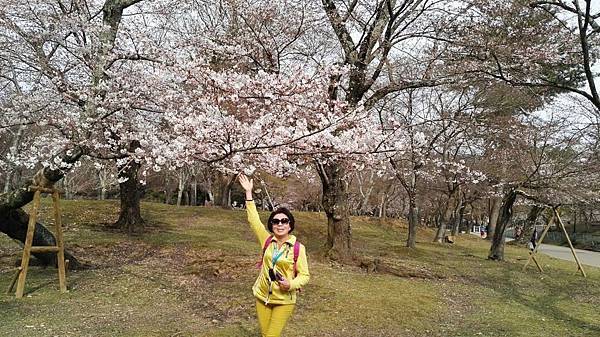 1459425917129.JPG 1459425917129.JPG