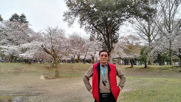 1459425936297.JPG 1459425936297.JPG