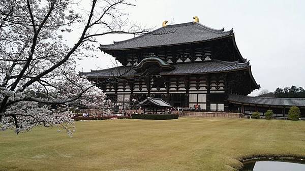 1459425973637.JPG 1459425973637.JPG