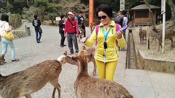 1459425963478.JPG 1459425963478.JPG