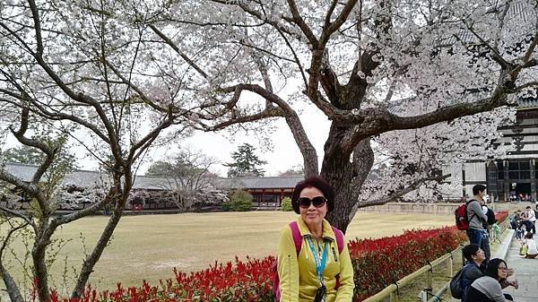 1459425978888.JPG 1459425978888.JPG