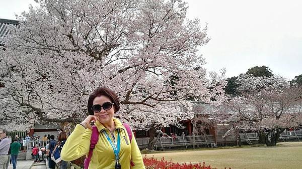 1459425993019.JPG 1459425993019.JPG