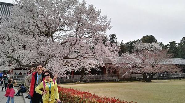 1459425991106.JPG 1459425991106.JPG