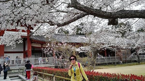 1459425985720.JPG 1459425985720.JPG