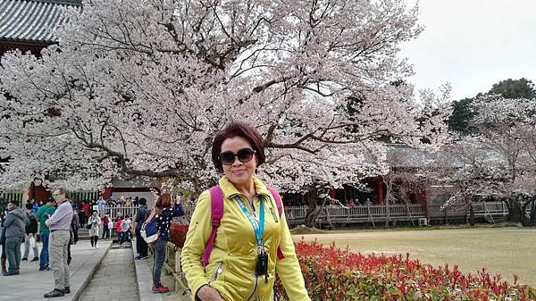 1459425998428.JPG 1459425998428.JPG