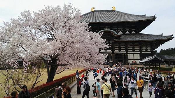 1459426125513.JPG 1459426125513.JPG