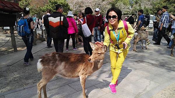 1459426155615.JPG 1459426155615.JPG