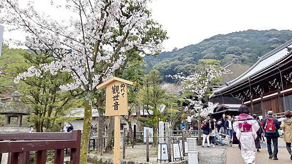 20160401_154836.JPG 20160401_154836.JPG