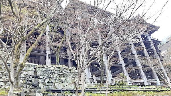 20160401_162805.JPG 20160401_162805.JPG