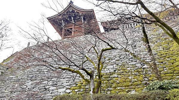 20160401_162904.JPG 20160401_162904.JPG