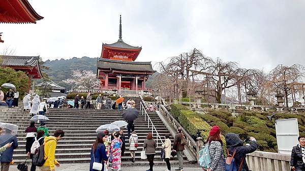 20160401_165441.JPG 20160401_165441.JPG