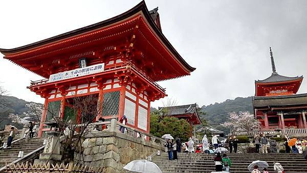 20160401_165446.JPG 20160401_165446.JPG