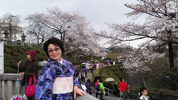 1459512088507.JPG 1459512088507.JPG