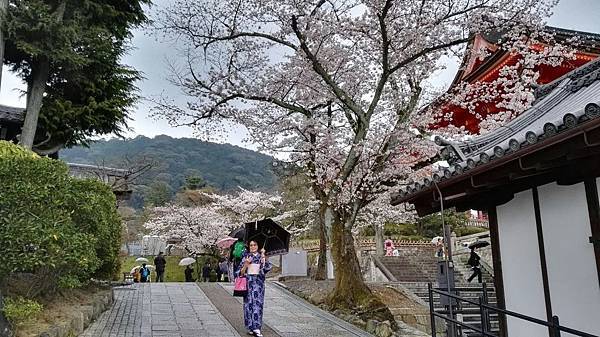 1459512114710.JPG 1459512114710.JPG