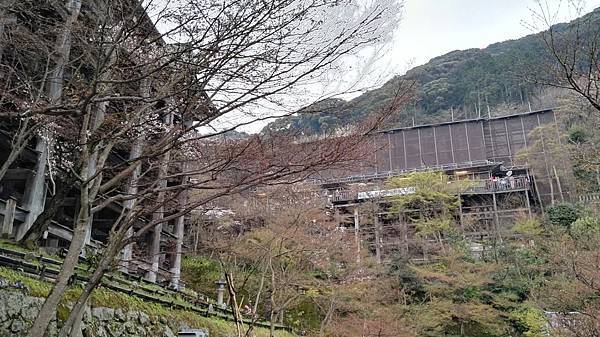 1459513583879.JPG 1459513583879.JPG