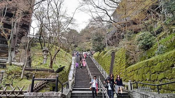 1459513646381.JPG 1459513646381.JPG