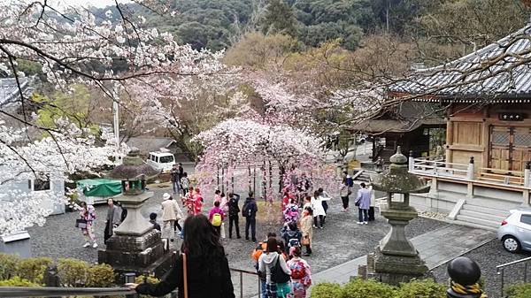 1459513687719.JPG 1459513687719.JPG