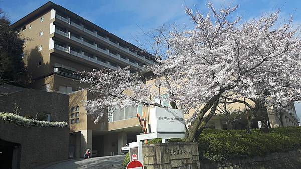 20160402_080206.JPG 20160402_080206.JPG