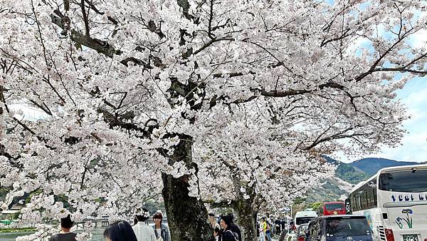 20160402_121258.JPG 20160402_121258.JPG