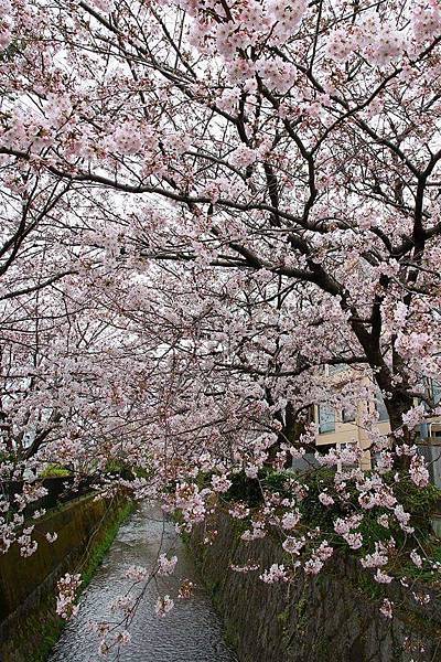 FB_IMG_1462157007862.jpg FB_IMG_1462157007862.jpg