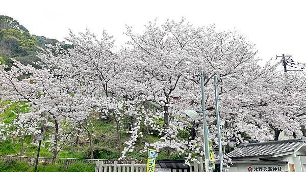 20160403_085542.JPG 20160403_085542.JPG