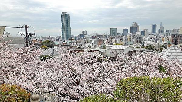 20160403_090002.JPG 20160403_090002.JPG