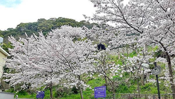 20160403_091447.JPG 20160403_091447.JPG