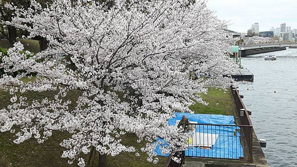 20160403_105416.JPG 20160403_105416.JPG