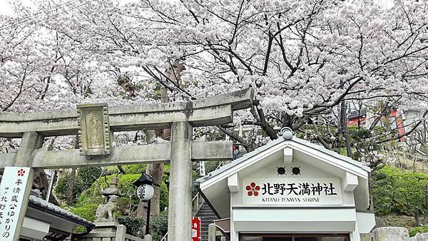 20160403_091704.JPG 20160403_091704.JPG