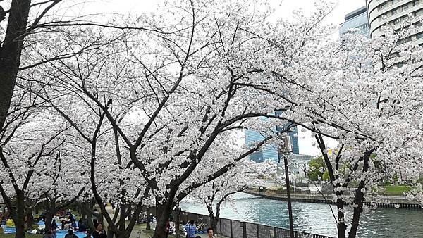 20160403_105504.JPG 20160403_105504.JPG