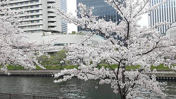 20160403_105508.JPG 20160403_105508.JPG