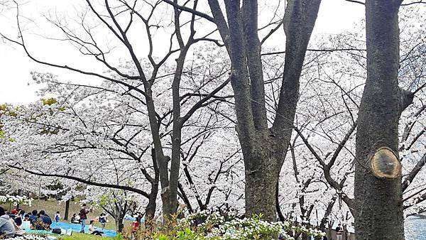 20160403_105516.JPG 20160403_105516.JPG