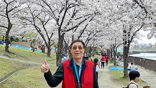 20160403_105614.JPG 20160403_105614.JPG