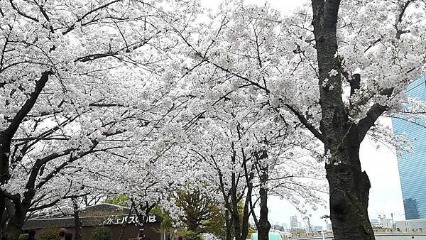 20160403_105646.JPG 20160403_105646.JPG