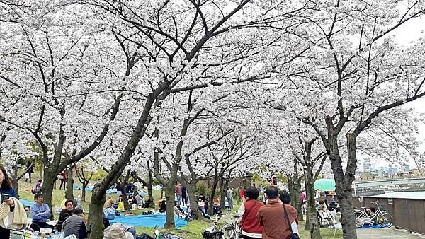 20160403_105626.JPG 20160403_105626.JPG