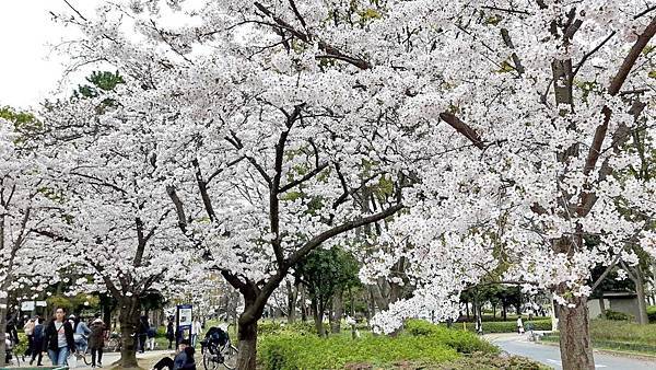 20160403_141249.JPG 20160403_141249.JPG