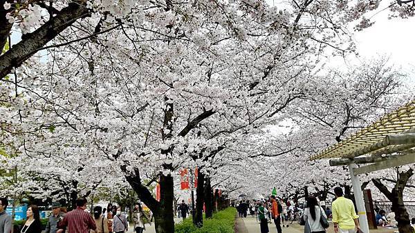 20160403_141437.JPG 20160403_141437.JPG