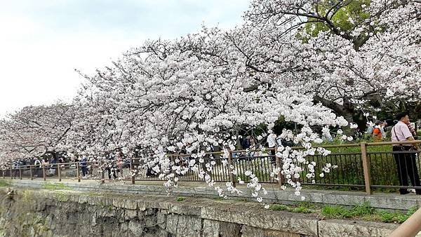 20160403_141458.JPG 20160403_141458.JPG