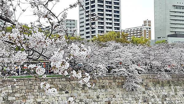 20160403_142304.JPG 20160403_142304.JPG