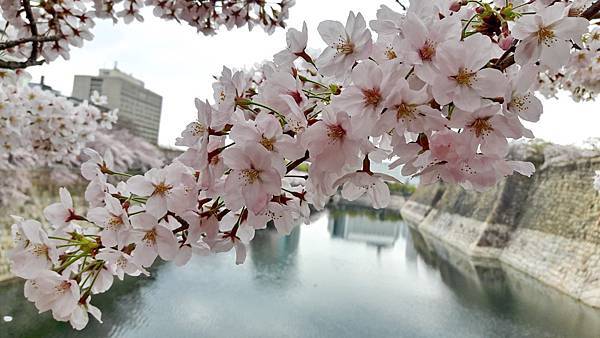 20160403_142140.JPG 20160403_142140.JPG