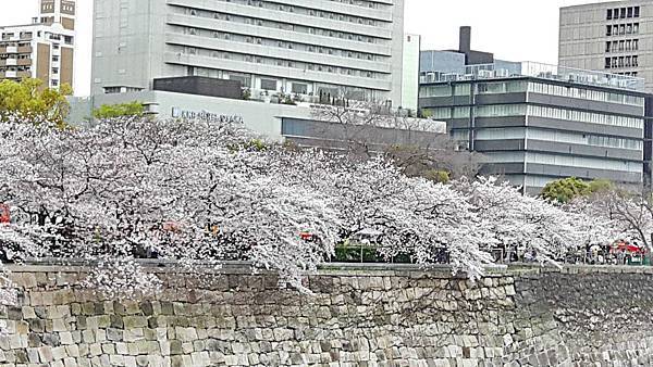 20160403_142309.JPG 20160403_142309.JPG