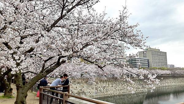 20160403_142444.JPG 20160403_142444.JPG