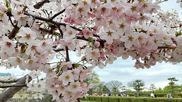 20160403_143144.JPG 20160403_143144.JPG