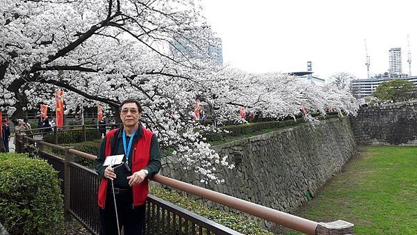 20160403_144804.JPG 20160403_144804.JPG