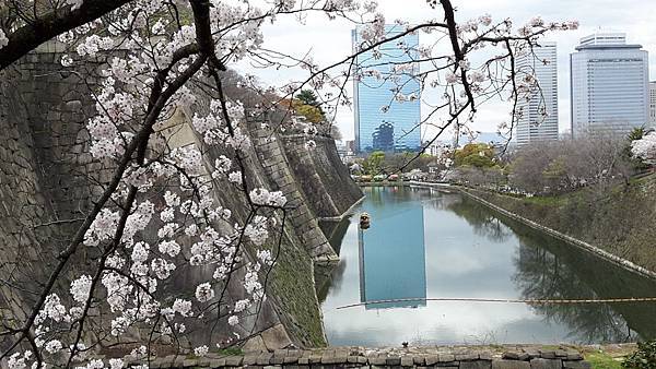 20160403_144939.JPG 20160403_144939.JPG