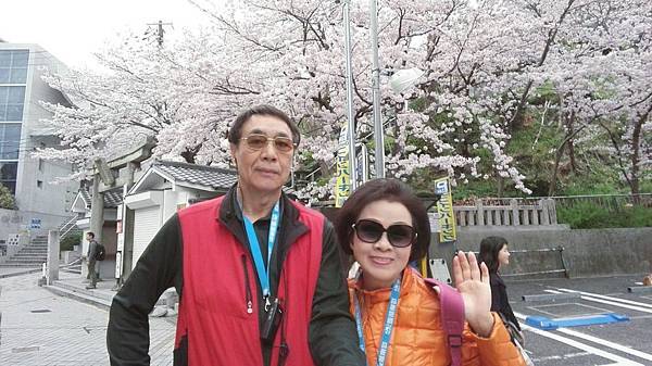 1459680876139.JPG 1459680876139.JPG