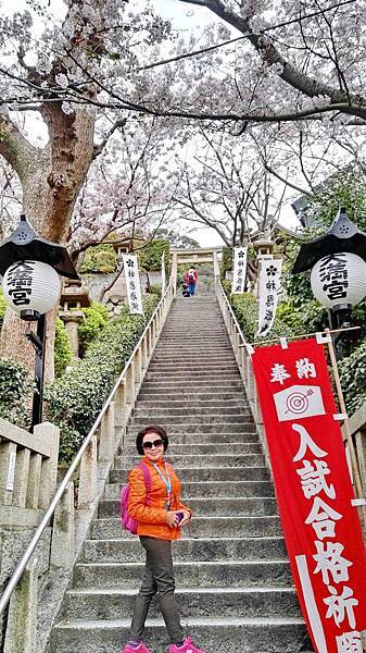 1459680879967.JPG 1459680879967.JPG