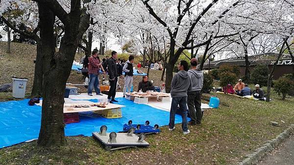 1459680996584.JPG 1459680996584.JPG