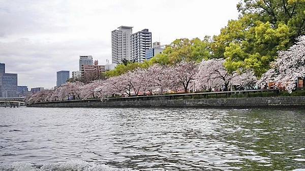 1459681058150.JPG 1459681058150.JPG