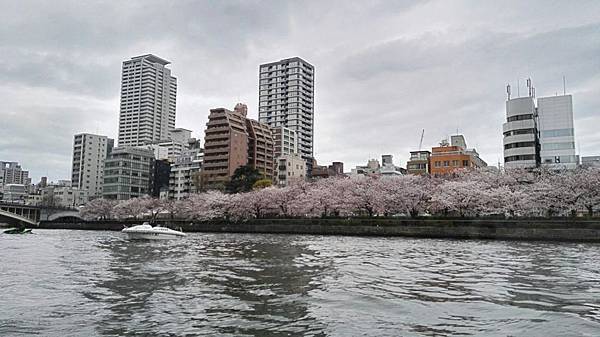 1459681063032.JPG 1459681063032.JPG